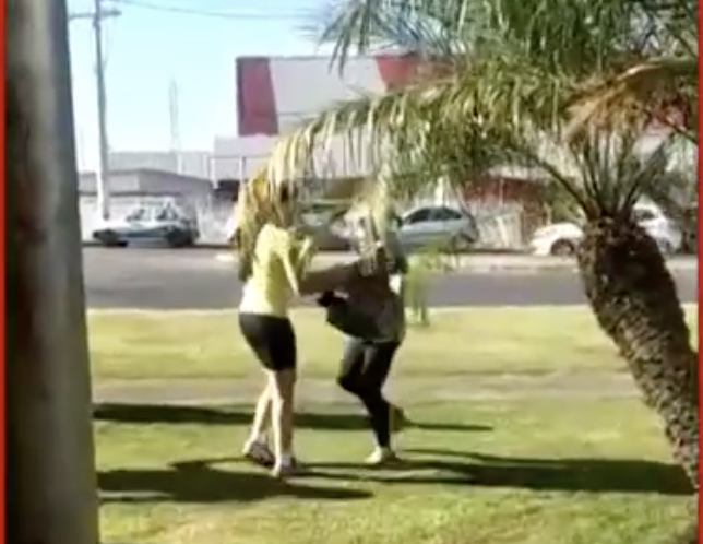 Idosa tenta fugir, ap&oacute;s receber voz de pris&atilde;o por ofensa racial – Foto: Reprodu&ccedil;&atilde;o