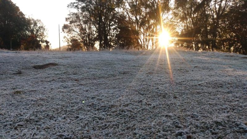 Geada maraca fim de semana nas &aacute;reas de Planalto pelo Estado – Foto: Carlos Corr&ecirc;a/Divulga&ccedil;&atilde;o/ND