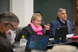 Presidente da Comissão Mista da Alesc, deputada Luciane Carminatti – Foto: Rodolfo Espínola/Agência AL