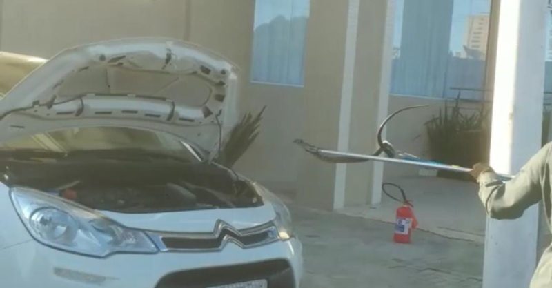 Resgate de cobra em Itapema durou 1h30 – Foto: Bombeiros/Divulga&ccedil;&atilde;o