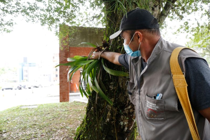 Quarta morte por dengue foi confirmada em Joinville