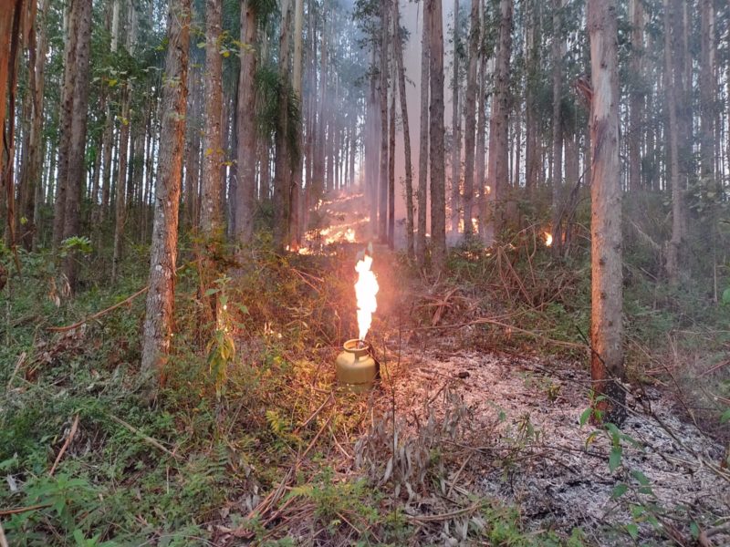 Botijão utilizado como lança-chamas foi encontrado no meio do fogo &#8211; Foto: Divulgação/Corpo de Bombeiros Militar/ND