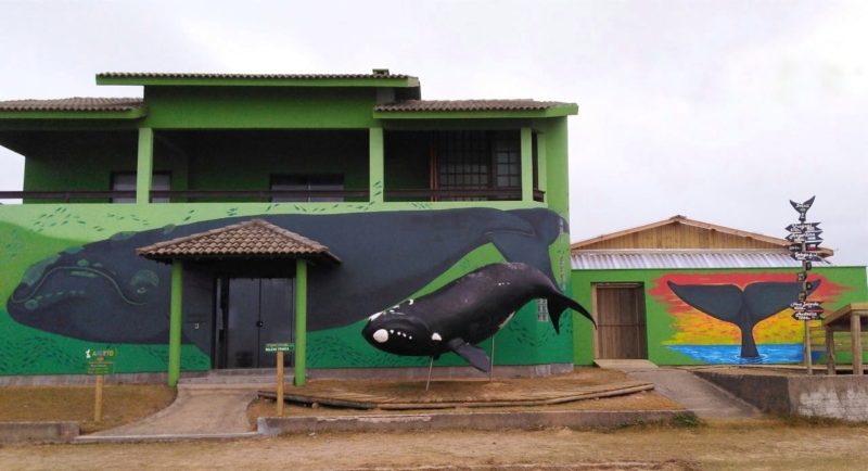 A sede do Instituto Australis possui um deque de observação e ensina os visitantes sobre as baleias-francas – Foto: Divulgação/ Instituto Australis/ ND