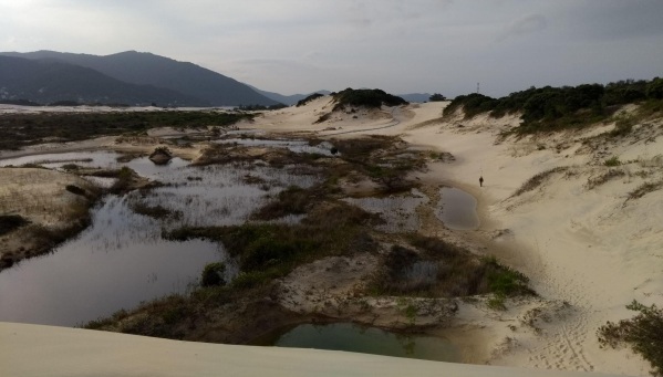 Lagoa artificial nas dunas de Florianópolis pode causar desequilíbrio ambiental