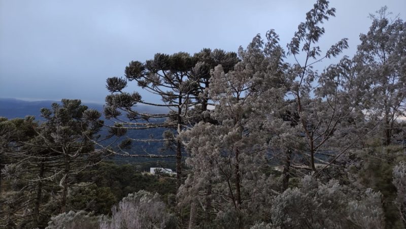 A cerca de 1.600 metros de altitude, sincelo foi registrado no Vale do Cruzeiro, em S&atilde;o Joaquim; fen&ocirc;meno &eacute; previso para todas as regi&otilde;es nesta ter&ccedil;a – Foto: Wagner Urbano/Divulga&ccedil;&atilde;o/ND