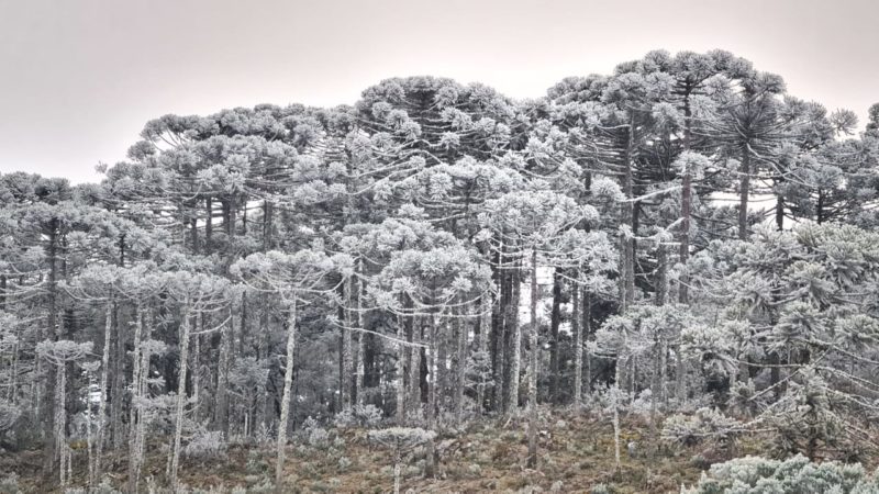 Frio extremo deve persistir em Santa Catarina &#8211; Foto: Wagner Urbano/Divulgação/ND