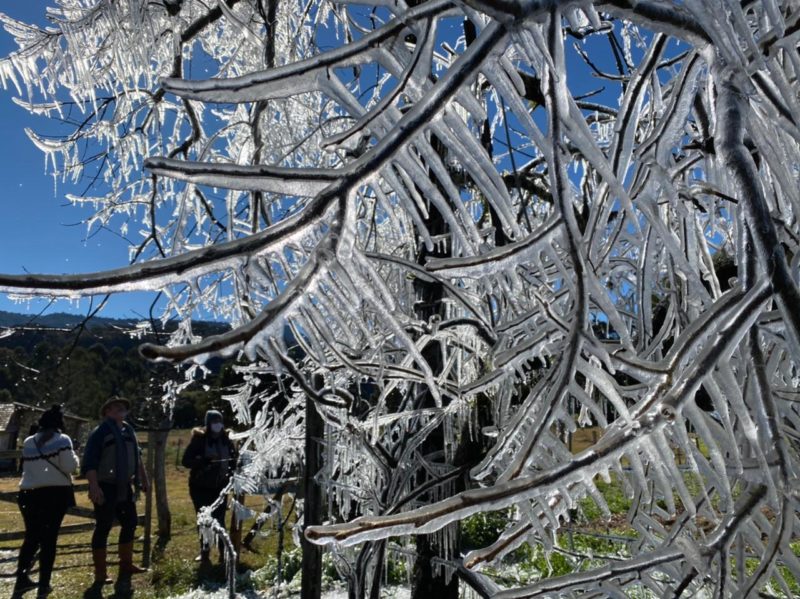 Frio não dá trégua em SC e Defesa Civil alerta para extremos – Foto: Maria Fernanda Salinet/ND