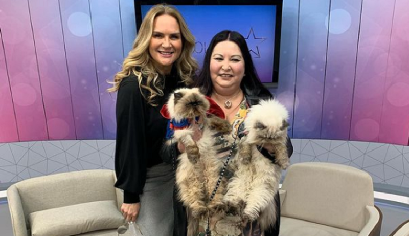 Gatos influencers Ares e Loki, que t&ecirc;m 305 mil seguidores no Instagram – Foto: Reprodu&ccedil;&atilde;o/Instagram