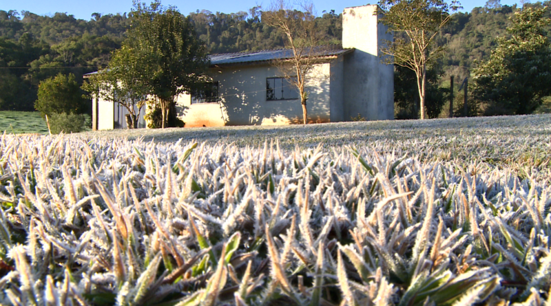 Geada no interior de Chapec&oacute; – Foto: Jair Correia/NDTV