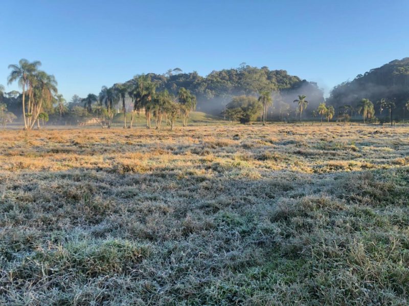 Algumas áreas do Planalto Norte podem ter geada nesta terça-feira – Foto: Diego Soares