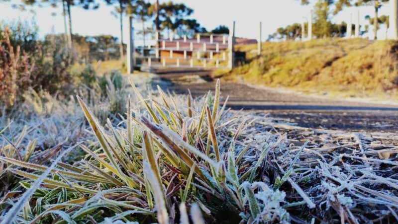 Mesmo sem neve, geada ainda cria belos cen&aacute;rios – Foto: Wagner Urbano
