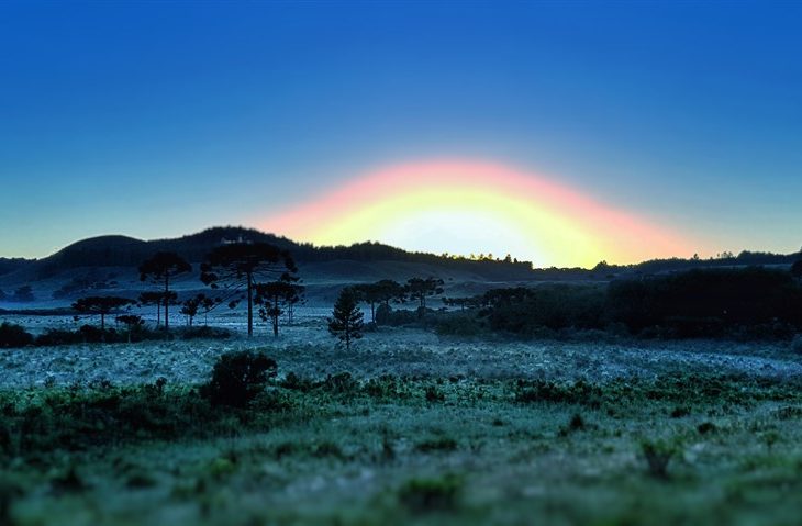 Serra catarinense já registrou geada e neve neste inverno – Foto: Mycchel Hudsonn Legnaghi/Arquivo/ND