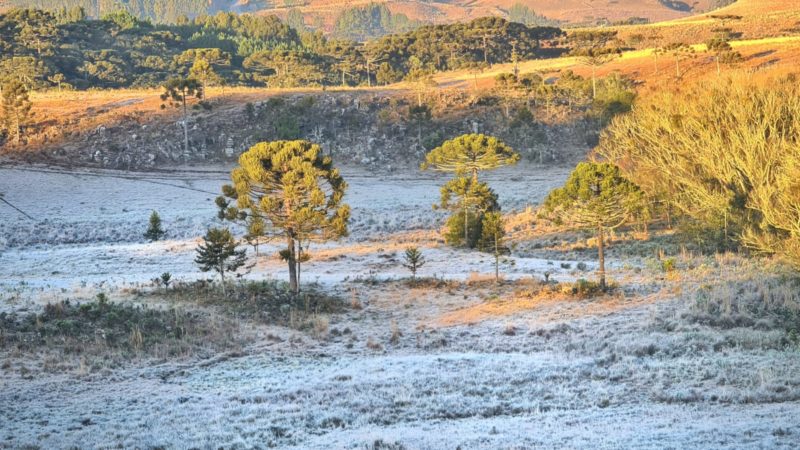 Geada e frio intenso deixam Santa Catarina com temperaturas negativas – Foto: Mycchel Legnaghi/São Joaquim Online/Divulgação/ND