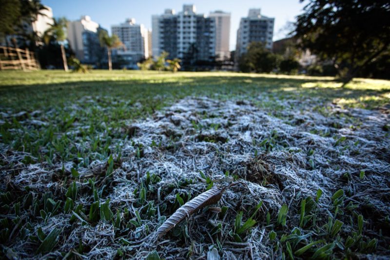 Florian&oacute;polis tem chance de registrar nova geada neste s&aacute;bado – Foto: Felipe Carneiro/Especial para ND