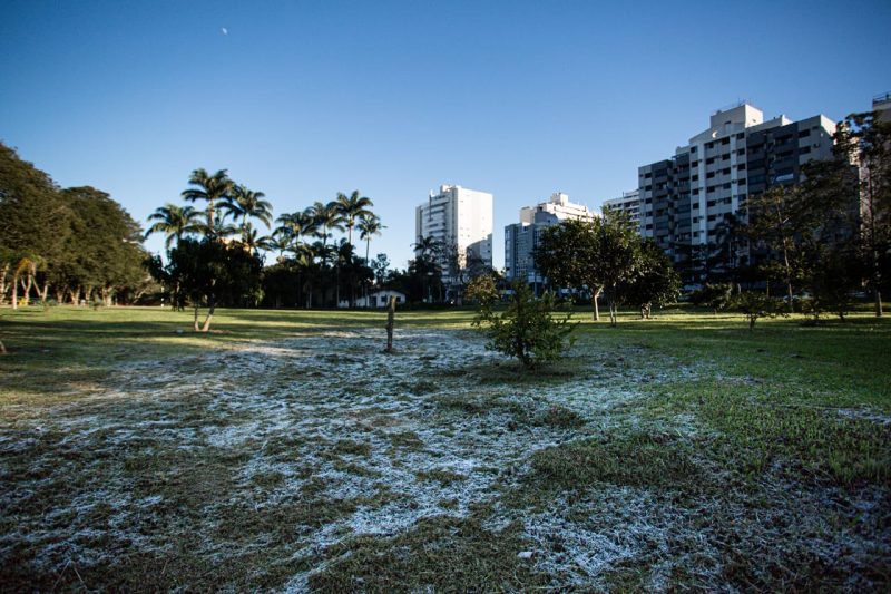 Jardim Botânico, no bairro Itacorubi, em Florianópolis – Foto: Felipe Carneiro/ND