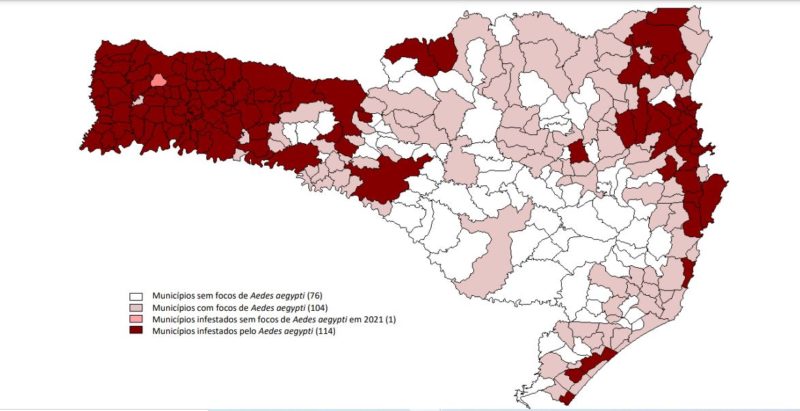 mapa mostra situação dos municípios em infestação do mosquito