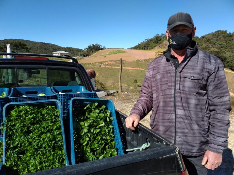 Agricultores se defendem com aminoácidos e outros truques nas geadas