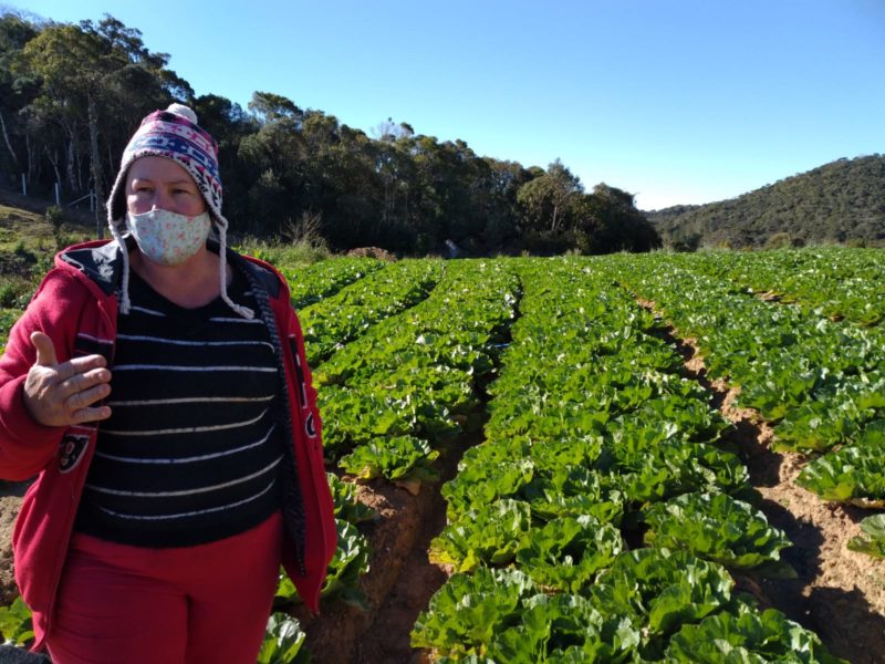 Maristela H. de Jesus também utiliza os aminoácidos para proteger suas plantações. Na foto, está ao lado das suas acelgas – Foto: Nícolas Horácio/ND