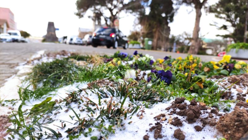 Neve em São Joaquim – Foto: Wagner Urbano/Divulgação/ND