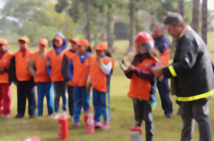 Alunos entre o 6º e 7º ano do ensino fundamental irão realizar as atividades – Foto: Divulgação/Defesa Civil