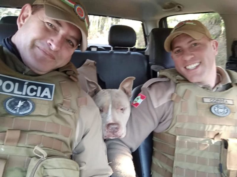 Agentes com o cachorro