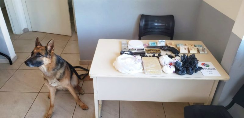 Cão do canil da PM auxiliou na localização da droga. – Foto: Polícia Militar/Divulgação/ND