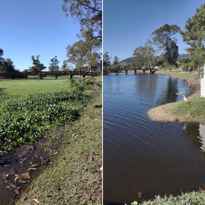 Prefeito comandou as a&ccedil;&otilde;es – Foto: PMF