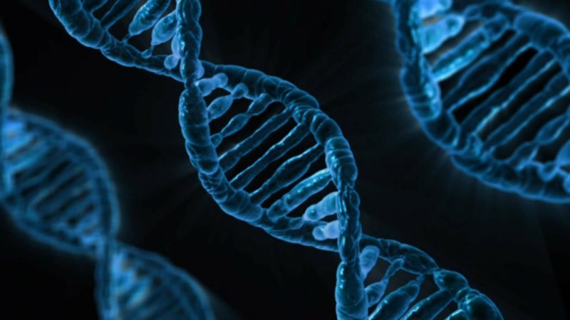Fita de DNA na cor azul