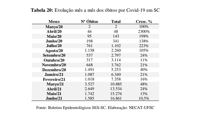 Número de mortes mês a mês em Santa Catarina – Foto: Reprodução/NECAT