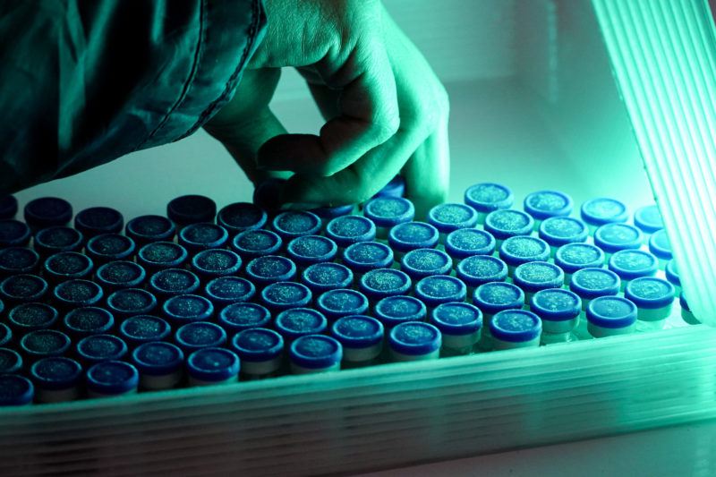 Brasil aumenta previs&atilde;o de doses para agosto – Foto: Ricardo Wolffenbuttel/Secom