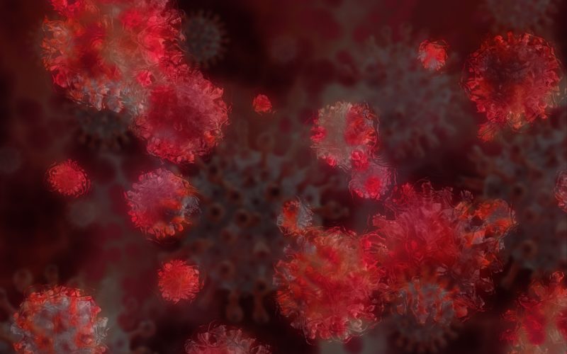 Variante, identificada pela primeira vez em novembro de 2020, pode ser até 60% mais letal entre os casos identificados em relação à cepa original – Foto: Pixabay/Reprodução/ND