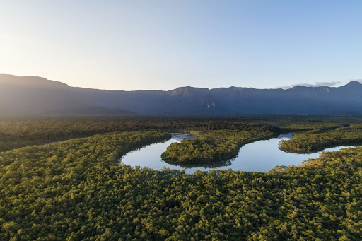 O investimento anunciado pelo Fundo JBS pela Amaz&ocirc;nia beneficiar&aacute; seis projetos que visam conserva&ccedil;&atilde;o da floresta amaz&ocirc;nica – Foto: Divulga&ccedil;&atilde;o/ND