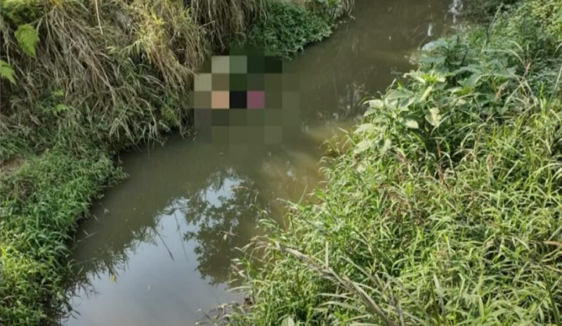 Mulher é encontrada morta dentro de ribeirão em Timbó – Foto: Reprodução/NDTV RecordTV