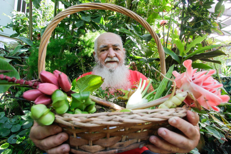 O manezinho Al&eacute;sio dos Passos Santos &eacute; refer&ecirc;ncia em Santa Catarina quando se fala em Plantas Aliment&iacute;cias n&atilde;o Convencionais – Foto: Leo Munhoz/ND