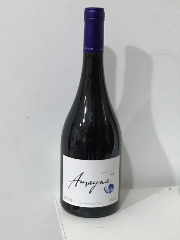 Um belíssimo Pinot Noir – Foto: João Lombardo