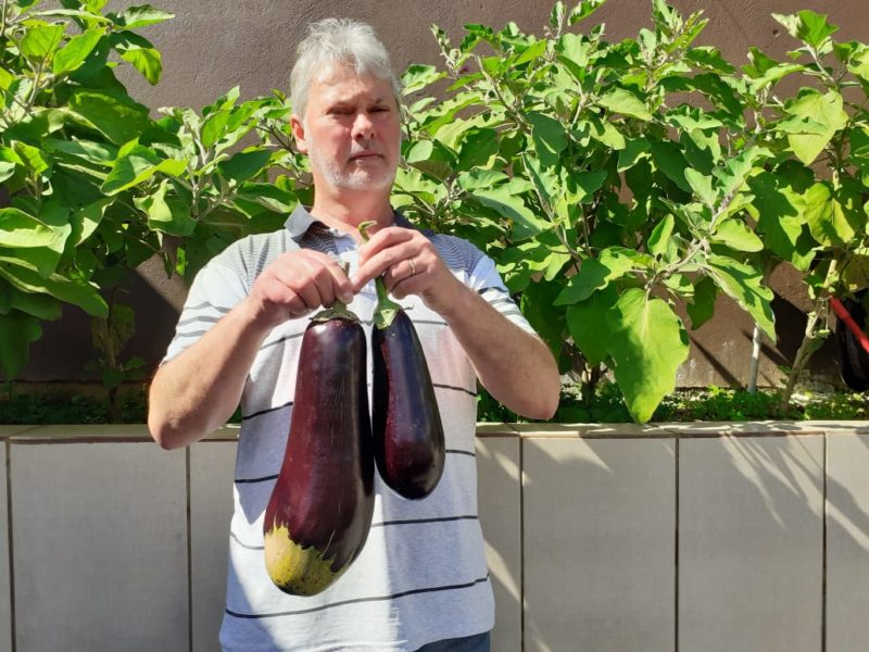 Jo&atilde;o exibe a berinjela gigante com orgulho – Foto: Arquivo pessoal