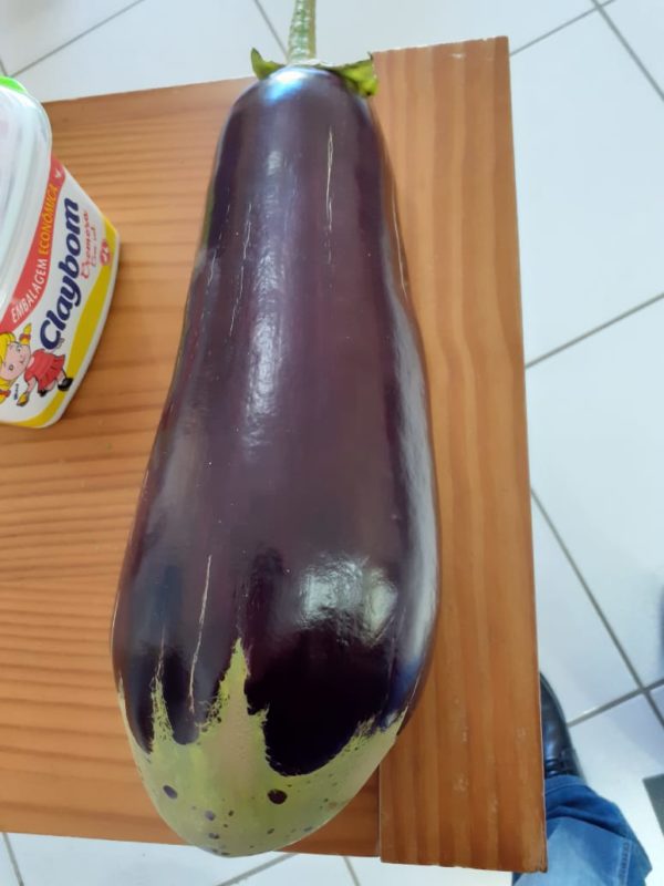 Berinjela tem 33 cm de comprimento – Foto: Arquivo pessoal