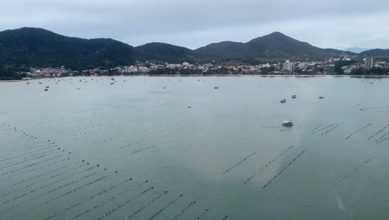 naufrágio em penha