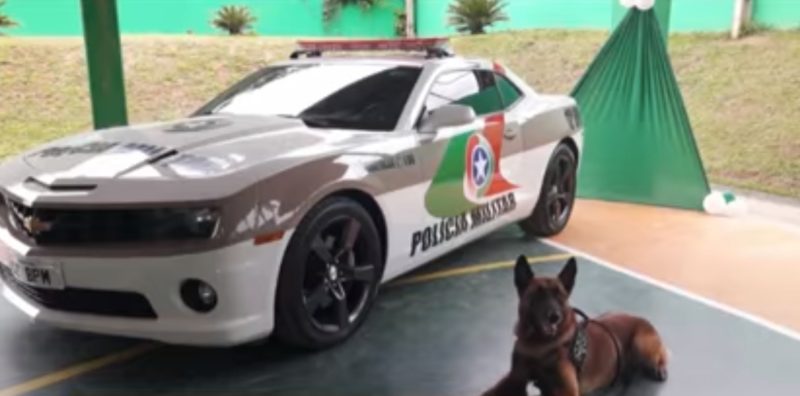 Carros de luxo que viraram viaturas policiais