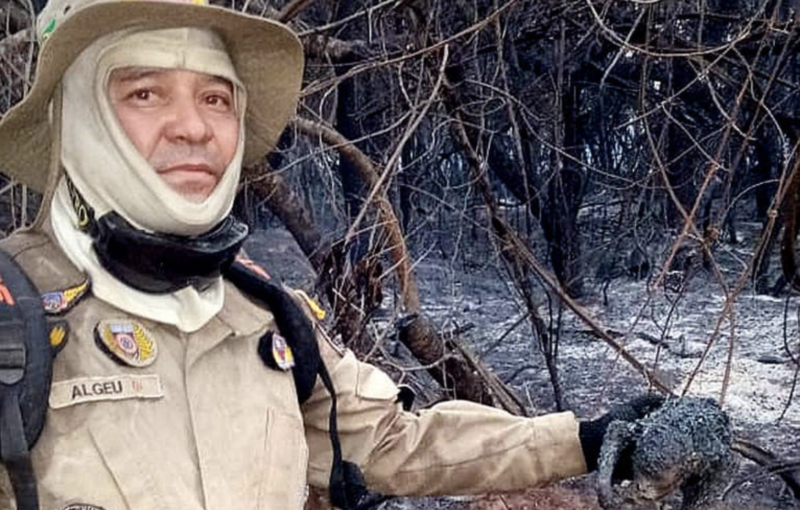Bombeiro mostra corpo do macaco carbonizado – Foto: Divulga&ccedil;&atilde;o Corpo de Bombeiros
