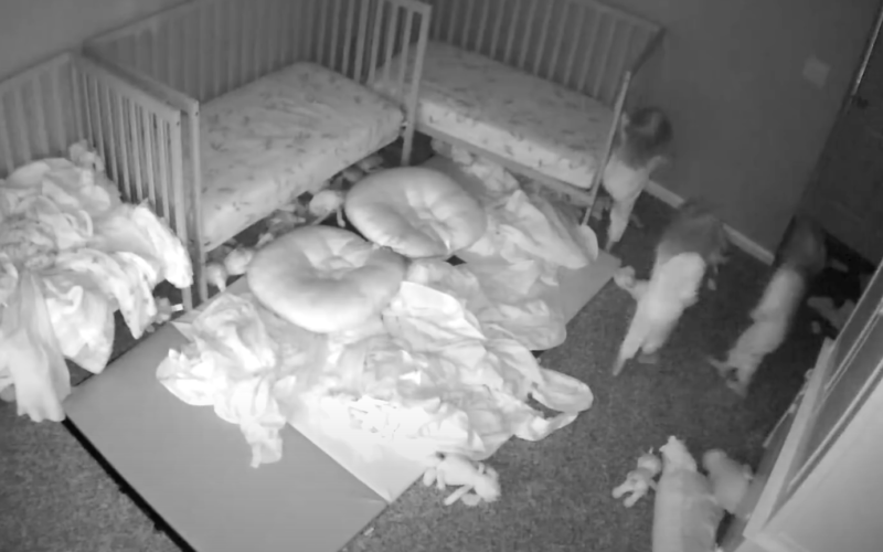 Bebês conversam com figura imaginária em vídeo assustador &#8211; Foto: Reprodução