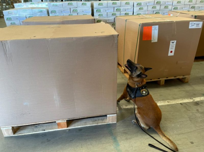 C&atilde;o Policial indicou a presen&ccedil;a de drogas na caixa – Foto: Receita Federal/Reprodu&ccedil;&atilde;o