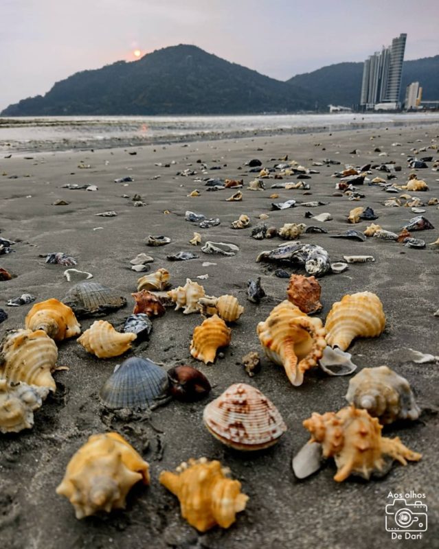 Entenda fenômeno de areia movediça que ocorreu em Balneário