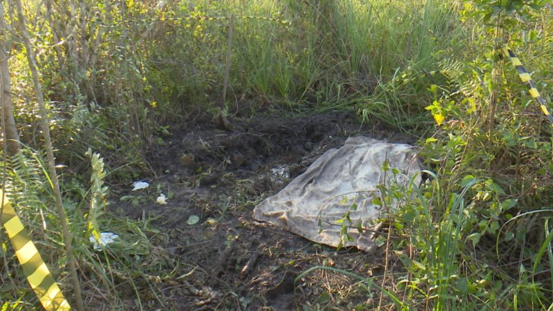 Em Balneário Barra do Sul, no Litoral Norte, um jovem foi encontrado decapitado em uma área de mata. Cerca de 15 dias depois, a cabeça da vítima também foi encontrada na mesma região. Segundo a Polícia Civil, a motivação do crime envolvia dívidas relacionadas a drogas e o líder de uma facção criminosa acabou detido durante a investigação – Foto: Reprodução/NDTV