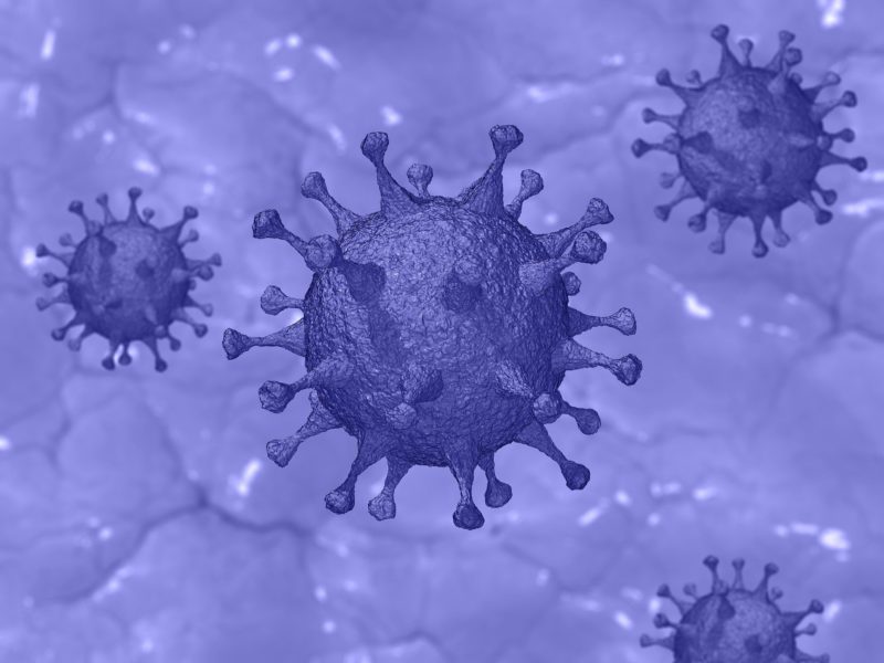 Pandemia da Covid-19 chega à quarta onda com a presença da variante Ômicron &#8211; Foto: Pixabay/Divulgação/ND