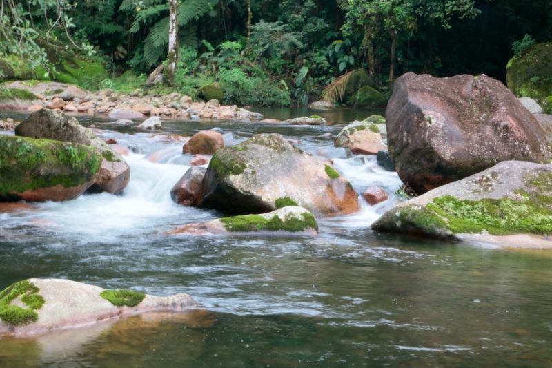 Preservação das águas é outra meta do projeto. &#8211; Foto: Secom/Prefeitura de Joinville/Divulgação ND