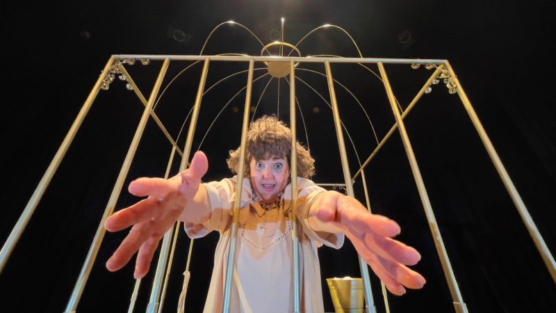 Atriz Vanderleia Will estar&aacute; em sete cidades catarinenses com a pe&ccedil;a “Desajustada” em apresenta&ccedil;&otilde;es gratuitas pela Rede Sesc de Teatros- Foto: Eduardo Brasil/Divulga&ccedil;&atilde;o/ND