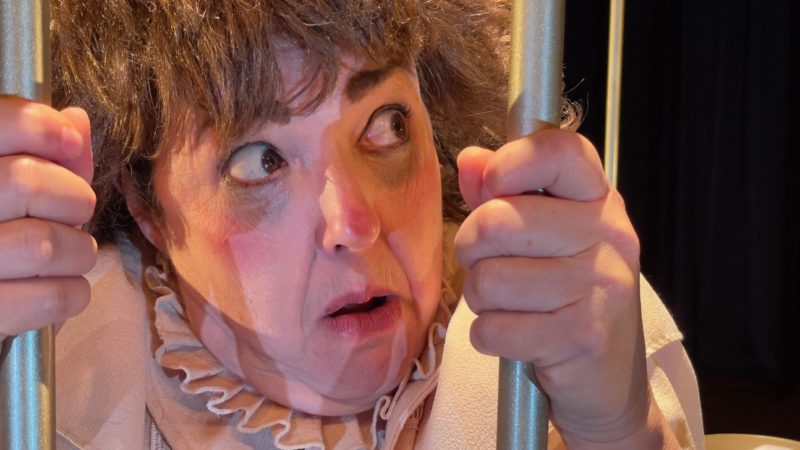 “Desajustada”, novo projeto da atriz Vanderleia Will resgata mulher palha&ccedil;a com seu poder de quebrar paradigmas – Foto: EDUARDO BRASIL/DIVULGA&Ccedil;&Atilde;O/ND