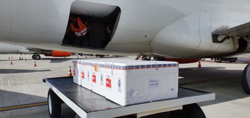 Imunizantes desembarcar&atilde;o ao longo da manh&atilde; da ter&ccedil;a-feira – Foto: Dive/SC/Divulga&ccedil;&atilde;o/ND