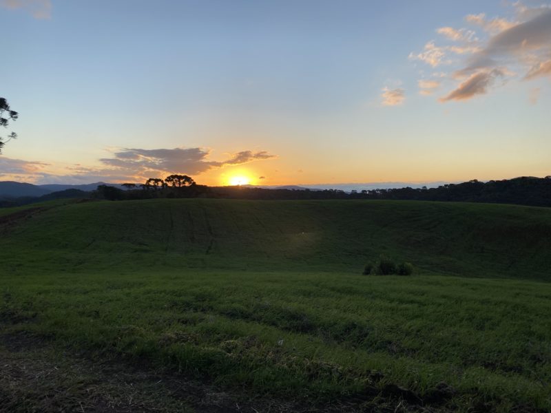 Dias melhores vir&atilde;o – Foto: Cacau Menezes